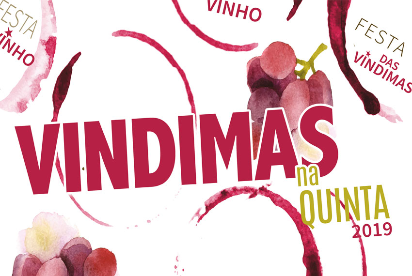 Vindimas na Quinta 2019