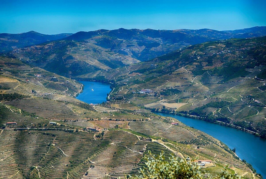 videiras do douro novembro 2022
